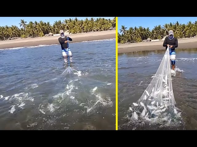 Hombre PESCA CIENTOS DE PECES con ATARRAYA en el MAR 