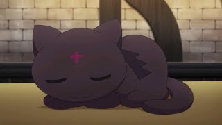 cat in anime(konosuba)