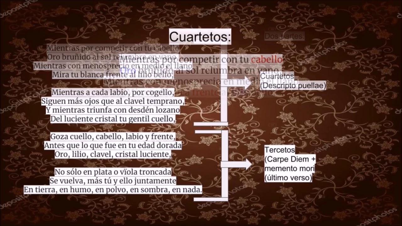 Mientras Por Competir Con Tu Cabello