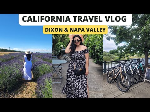 Travel Vlog: A few days in California. Napa Valley + Dixon Lavender Fields. #california #travelvlog