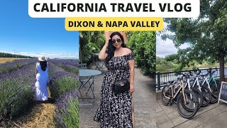 Travel Vlog: A few days in California. Napa Valley + Dixon Lavender Fields. #california #travelvlog by Priscilla Gutierrez 211 views 1 year ago 11 minutes, 2 seconds