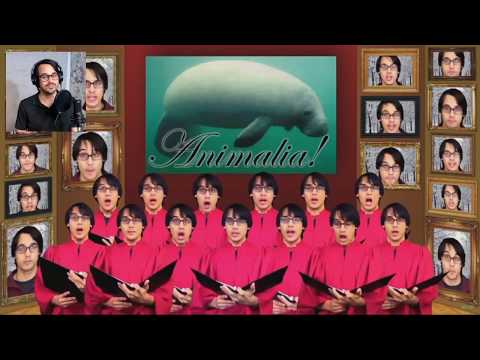 Commentary: Animalia Chorus