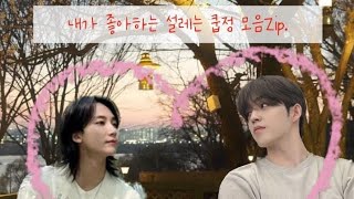 [세븐틴/에스쿱스/정한] 내가 좋아하는 설레는 정쿱 모음Zip. 2편 A collection of exciting Jeongcheol moments Part 2