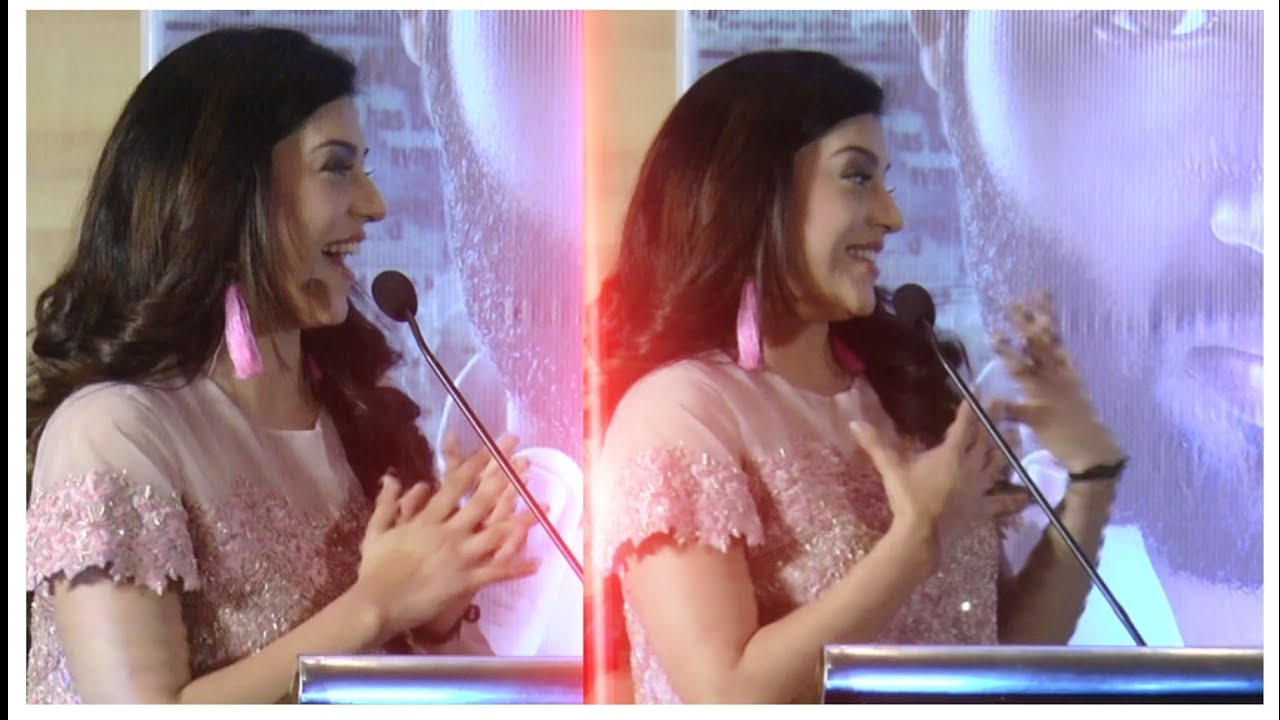 Actress Mehreen Pirzada speech  at Nota movie press meet