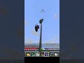 Geiler Elytra Mace kill