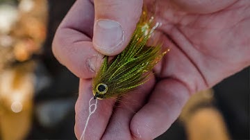 Umpqua