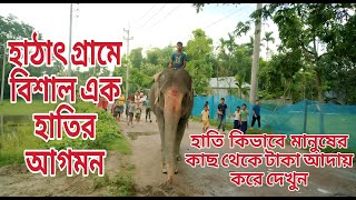 Big Elephant in our village.গ্রামের হাতির কান্ড দেখে সবাই ভয়ে আছে।