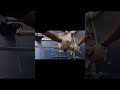 Drawer-Type Palletizing Gripper | Smooth & Precise Carton Palletizing Without Manual Labor