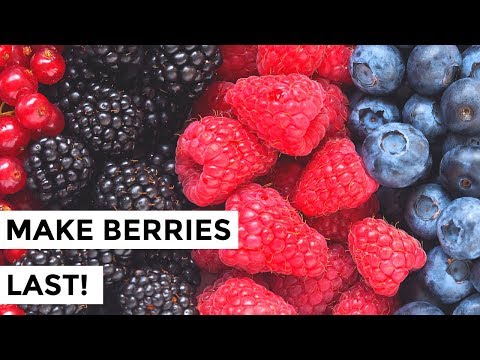 How to Keep Berries Fresher Longer - How to Wash Berries so They Last!