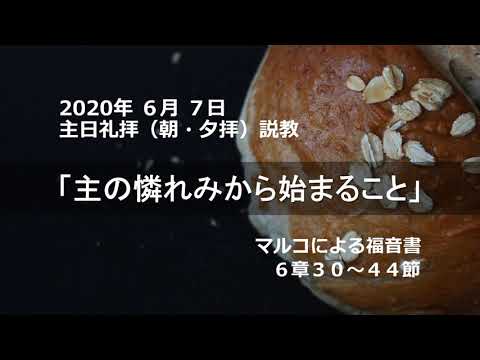 2020年 6月 7日（朝・夕）礼拝説教「主の憐れみから始まること」マルコによる福音書6章30～44節