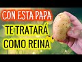 SU DINERO Y AMOR SERÁN PARA TI! TE TENDRÁ COMO REINA HECHIZO CON PAPA Y MIEL