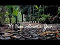 IT&#39;S BEEN ALMOST A YEAR | SCHOOL OF NATURE | CINEMATIC VLOG