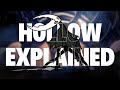 The Hollow Knight Backstory and Lore Explained | Hollow Knight