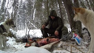 80 дней в тайге. Пушной промысел. Видеодневник. Часть 10