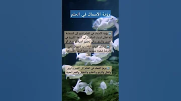 رؤية الأسماك في الحلم 