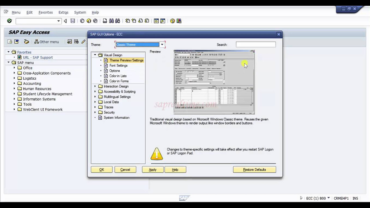 Update How to change the SAP Theme -SAP Basics Video