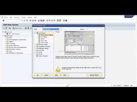 How to change the SAP Theme  -SAP Basics Video