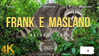 Exploring Tuscarora State Forest - "Big Trees. Bold Critters, and a Lost Pioneer Cemetery"