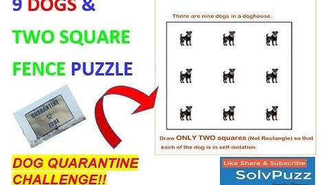 There are 9 Dogs within a square doghouse || Self-Isolation || Solve Puzzle