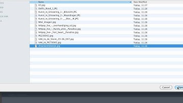 Django Fiber - using images (and files)