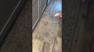 These kitchen mats are trully perfection I even dropped ketchup to show you ladies that they are