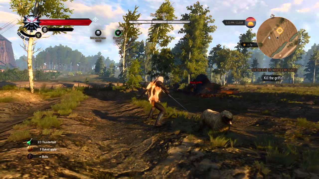 The Witcher 3: How to Kill the Griffin Tutorial/Let's Play on Death's
