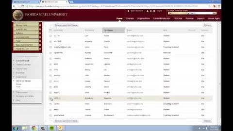 How To Remove a Student from the BB Course Site and Student Roster