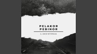 Pelakor Pebinor