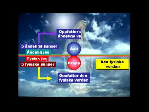 Video: Livet Etter Døden: Hvor Mye Veier En Persons Sjel - Alternativ Visning