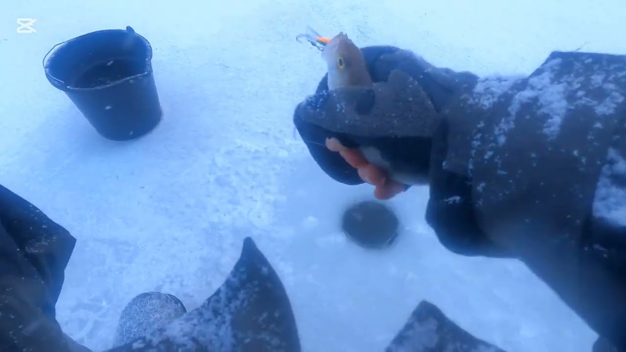 Zemledus cope un atkal turpat.