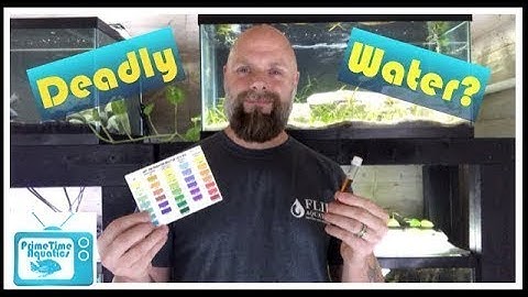 The Silent Killer - Nitrates in Your Fish Tank | What to Do About Them!