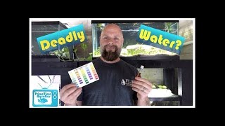 The Silent Killer  Nitrates in Your Fish Tank | What to Do About Them!