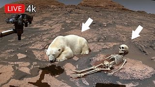 NASA Perseverance Rover Latest Images SOL 1845 | Mars Panoramic 4k video | Mars hd photo