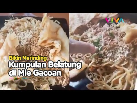 Konsumen Mie Gacoan Bikin Geger, Belatung Menggeliat di Piring Pesanan