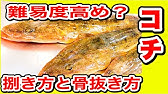 小さいコチ捌き方 料理 自分でやってみた Youtube