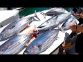 TUNA FISHING in Hawaii! | Deep Sea Fishing Oahu