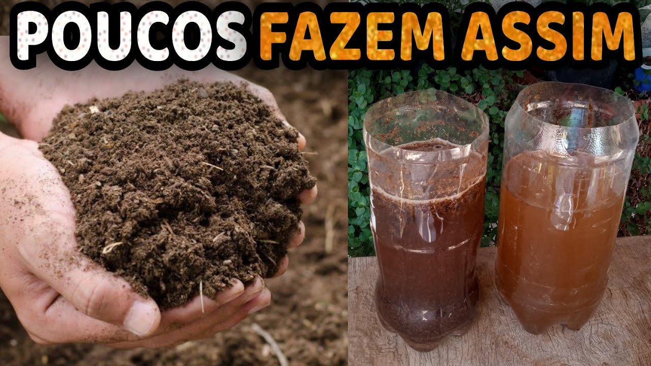 Como Curtir Esterco Mais Rápido e da Forma Certa