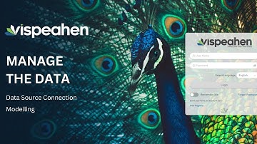 Manage the Data with Vispeahen / Vispeahen ile Veriyi Yönet (Part 1)