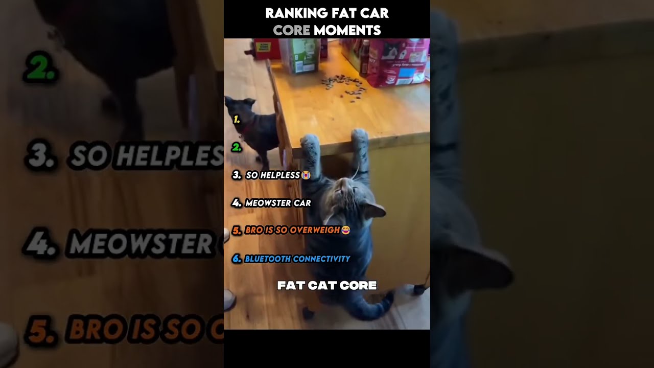 Ranking Fat Cat Core Moments 