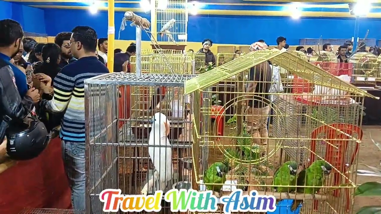 Exotic Bird Show in Kolkata 2025 l Santosh Mitra Square l কলকাতার সব থেকে বড় পাখির মেলা l 