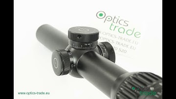 Schmidt & Bender 1.1-8x24 PM II High Power Rifle Scope Photo Slideshow