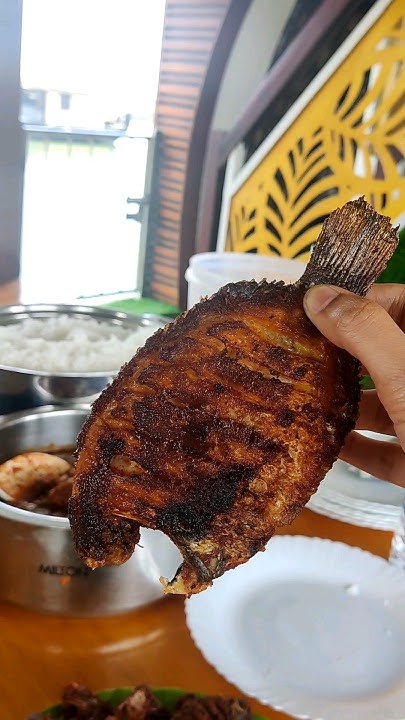Alleppey Boat House Lunch Menu Experience shorts shortsfeed YouTube alleppey-boat-house-lunch-menu-experience-shorts-shortsfeed-youtube