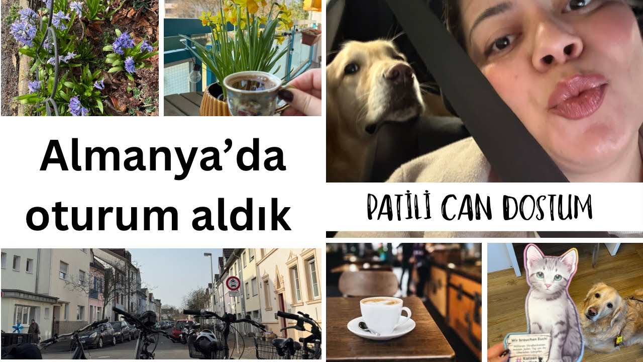 Almanya Mini Vlog: Oturum Sürecimiz ve Pati Dostumuzun Sağlık Mücadelesi 
