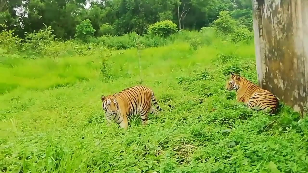 how many safari park in bangladesh