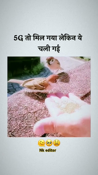 5g ke chakkar me ye sab kho diye   #sort #status #trending #5g