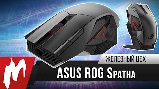 Игровая мышь за 15 000 рублей - ASUS ROG Spatha - Железный цех - Игромания