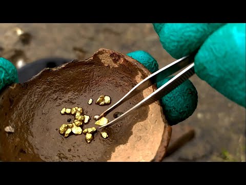 I found gold in the rivers