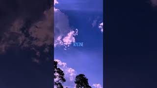 Good Looking Song By Suki Waterhousethe Skyline Falls As I Try To Make Sense Of It All