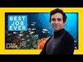 Unveiling Ocean Mysteries Through Marine Biology Insights