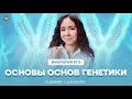 Основы основ генетики